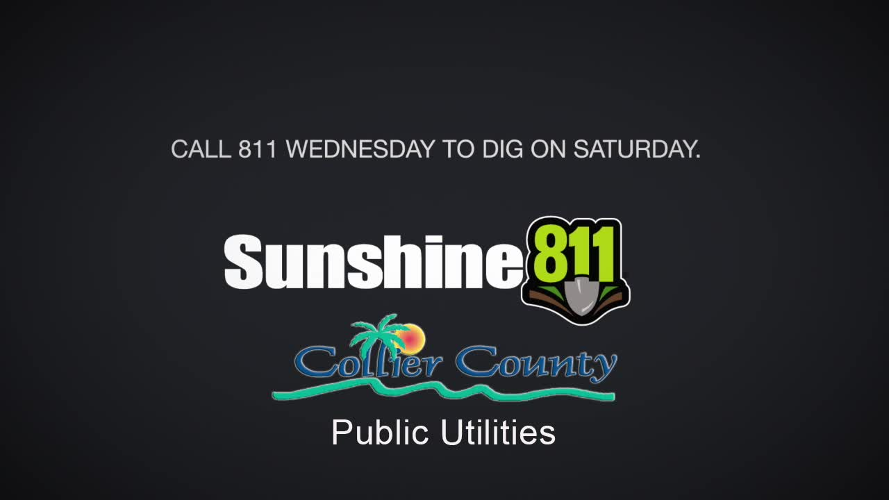 Sunshine 811